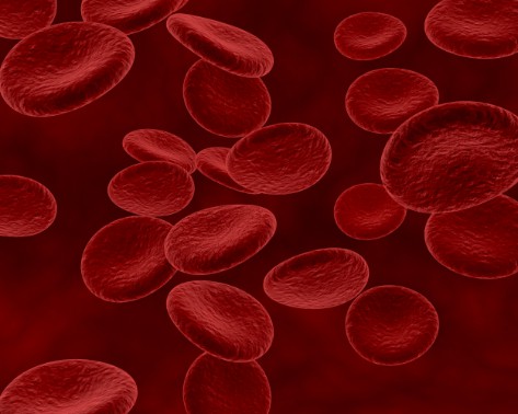 Anemie-ce-este-anemia-celule-rosii-sange-fundal-grena Anemie-ce-este-anemia-celule-rosii-sange-fundal-grena